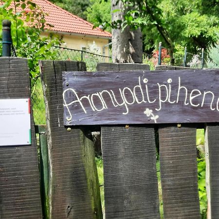 Aranyodi Piheno Casa de hóspedes Zalaszentgrót Exterior foto