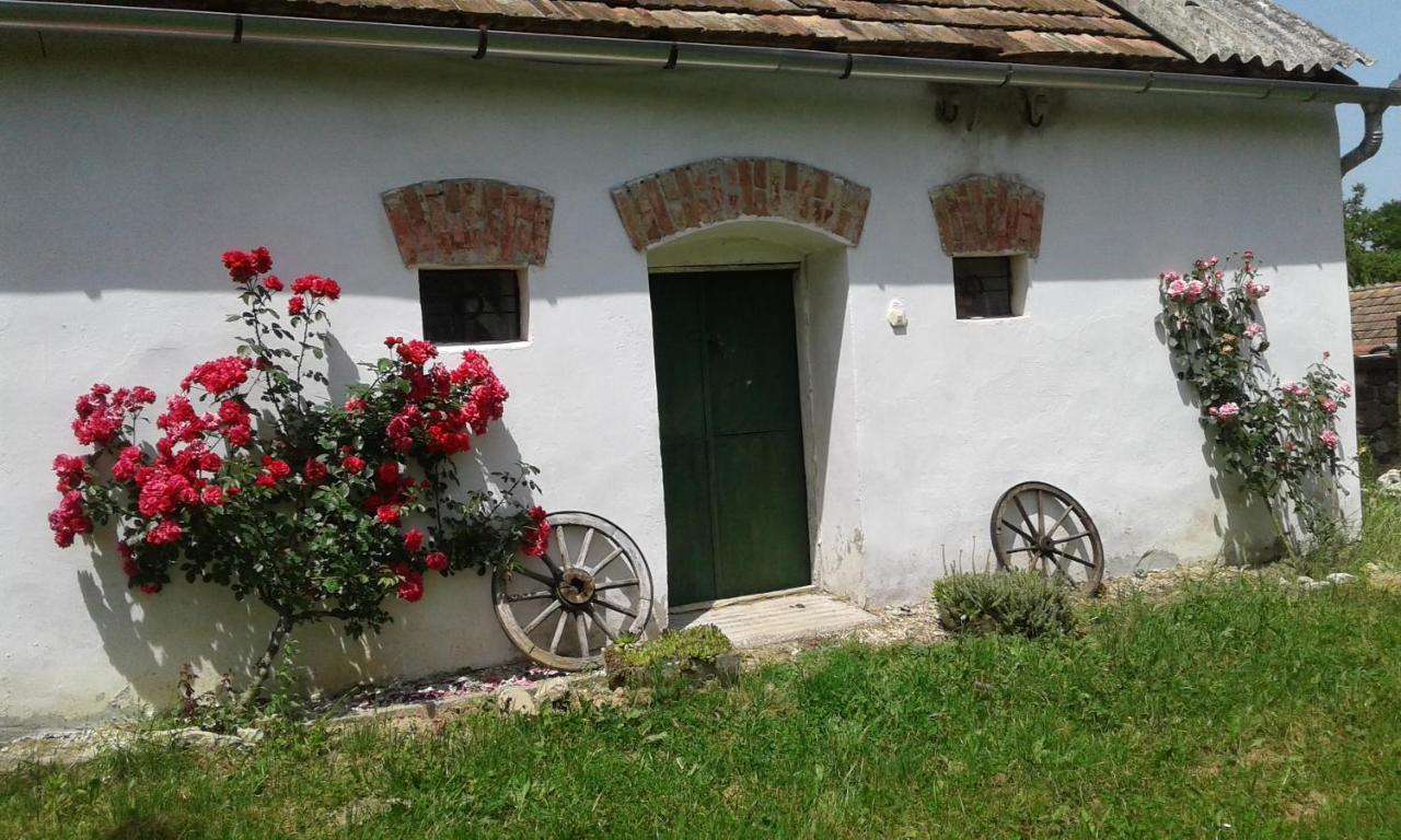 Aranyodi Piheno Casa de hóspedes Zalaszentgrót Exterior foto