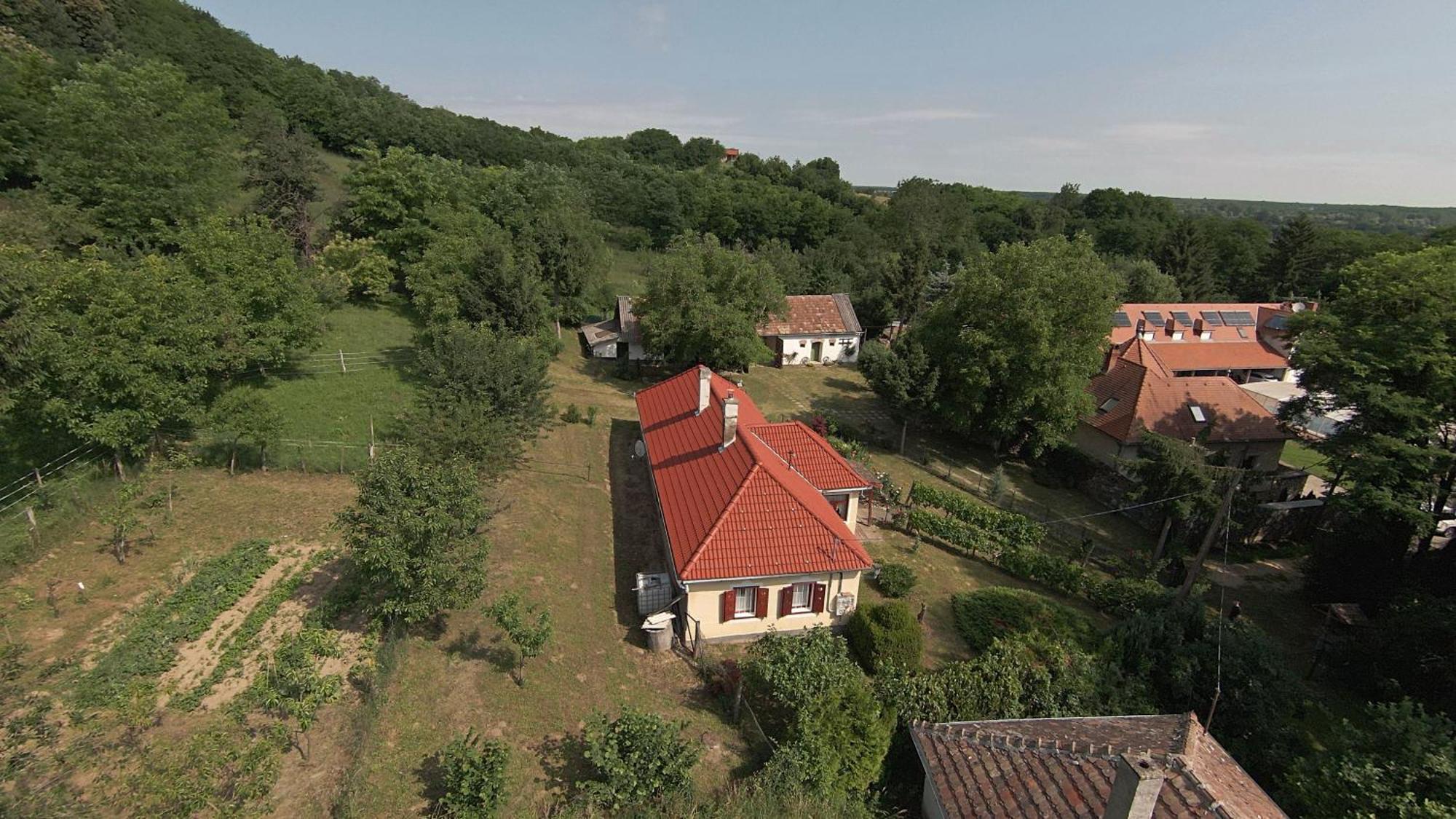 Aranyodi Piheno Casa de hóspedes Zalaszentgrót Exterior foto