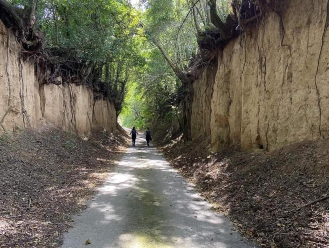 Aranyodi Piheno Casa de hóspedes Zalaszentgrót Exterior foto